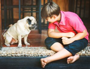 kid pet sitting